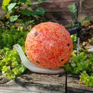 Solar Snail