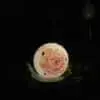 Solar Snail