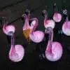 Solar Flamingo