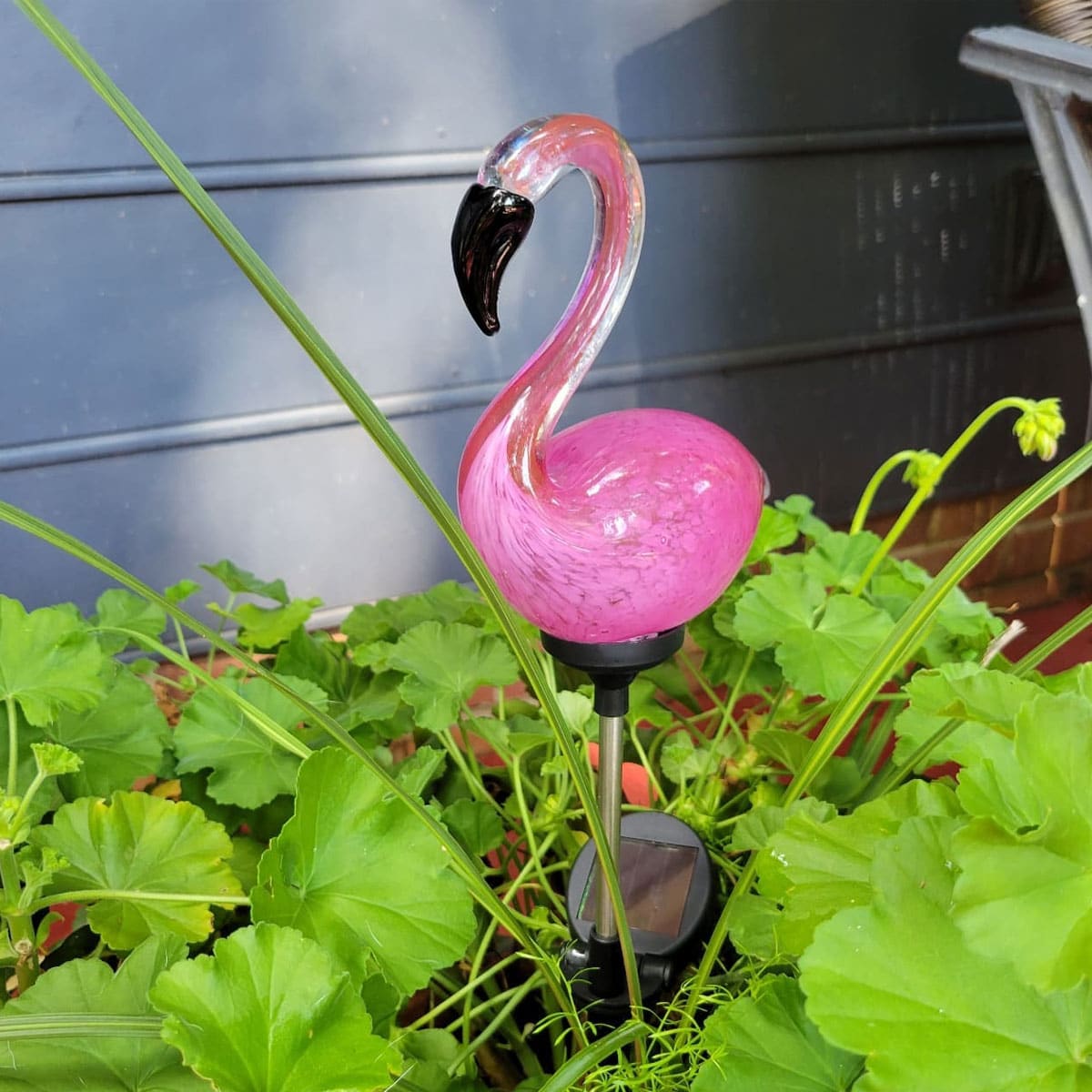 Solar Flamingo