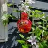 Solar Hummingbird Feeder Oval Red