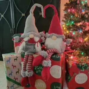 Mr. Mrs. Santa Gnomes