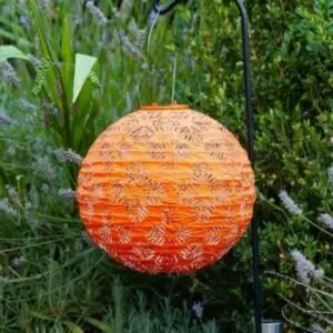 Soji Stella Solar Bright Lanterns